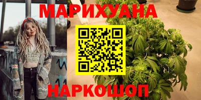 шишки Донской