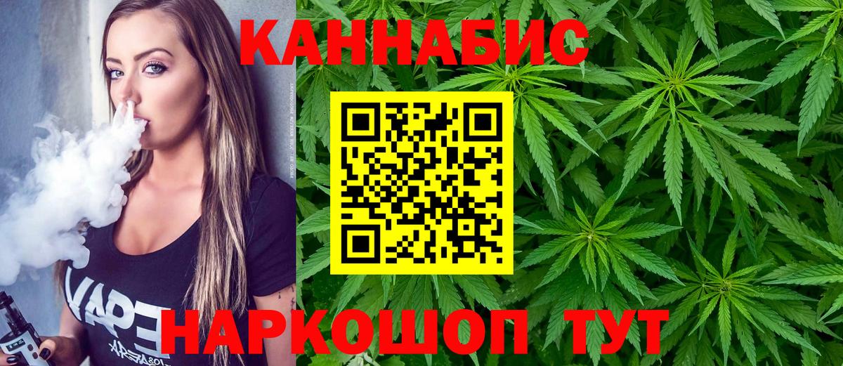 Конопля сатива Чернушка
